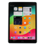 Apple iPad 9th Generation A2604 10.2" Retina Display/256GB Capacity/Wi Fi + Cellular