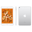 Apple iPad Mini 5 A2124 7.9" Retina Display/256GB/Wi Fi & Cellular